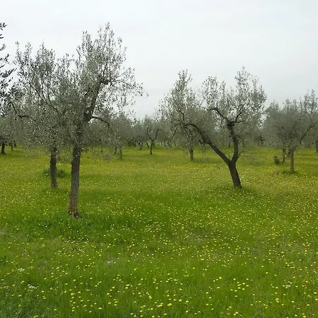 Relais Al Convento Kır Evi *